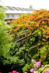 The Regent Cha-Am Beach Resort 